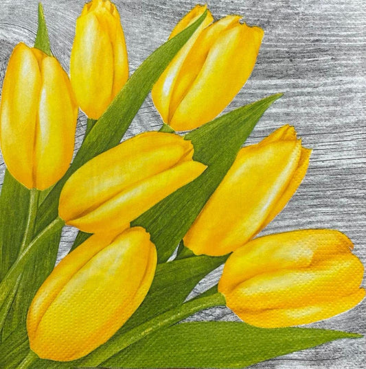 Flowers Napkins Tulip Decorative Floral Paper Decoupage Napkin #5155