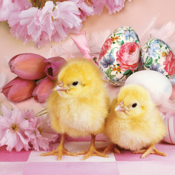 Easter Napkins Holiday Chicks Decorative Paper Decoupage Napkin #3043